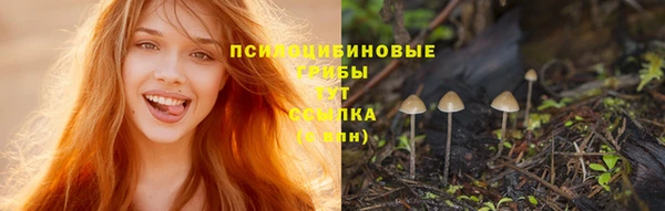 кокаин VHQ Богданович