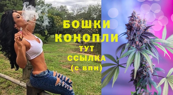 СК Покачи