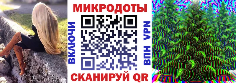 Галлюциногенные грибы Psilocybe  Купить  Яхрома 